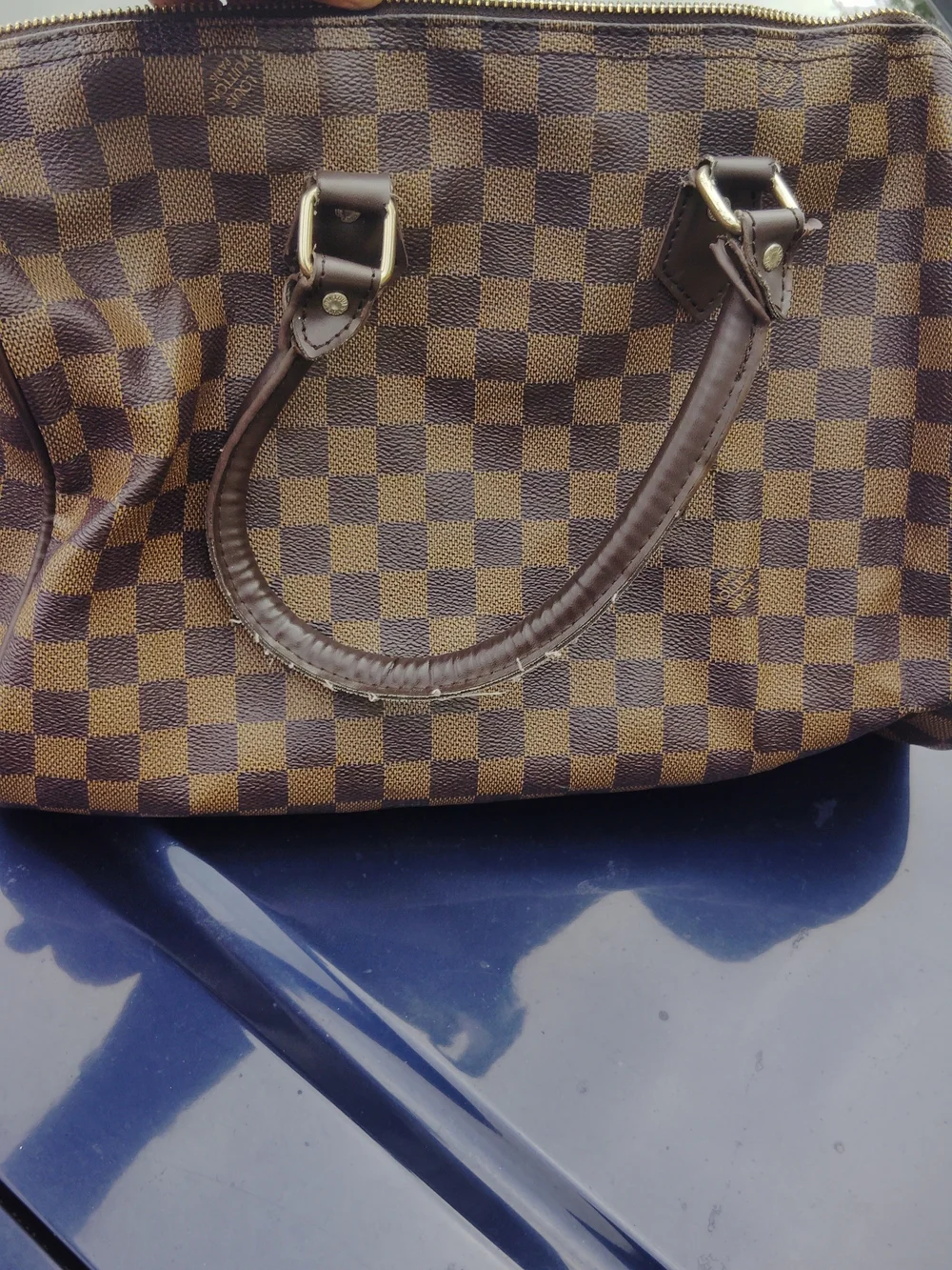 Louis Vuitton stylish brown